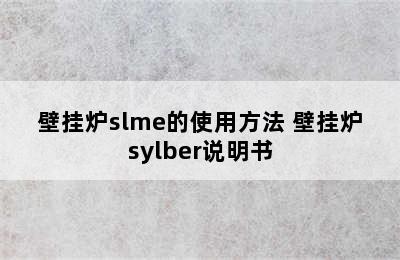 壁挂炉slme的使用方法 壁挂炉sylber说明书